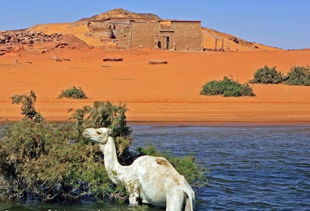 Nubian Queen travel